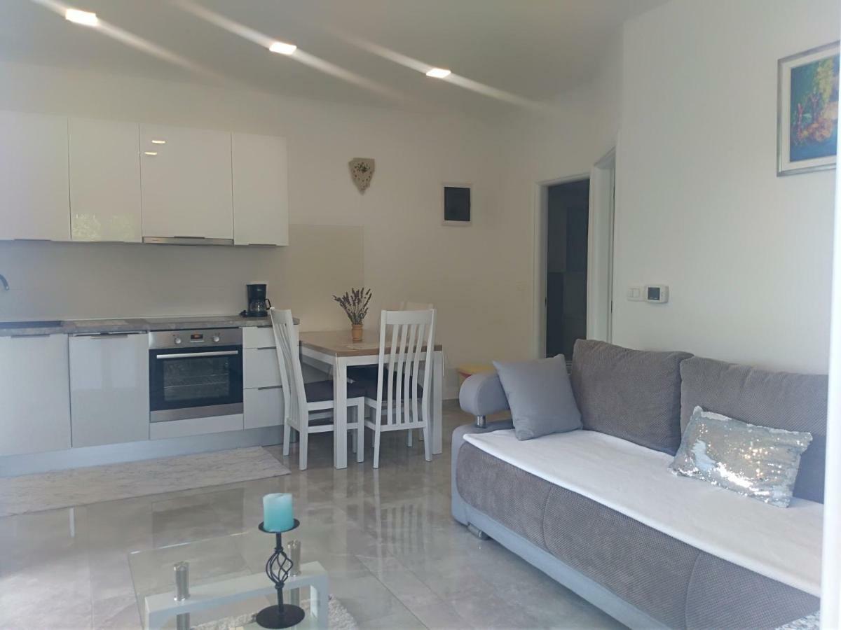 Apartment Ivana Novigrad Istria Exterior foto